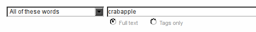 Flickr search box Flickr search box