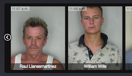Tampa Bay Mug Shots Tampa Bay Mug Shots