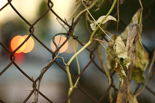 red light district, by SMN