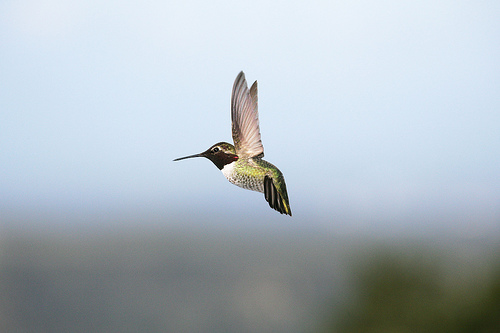 Form, by carlosluis Form, by carlosluis