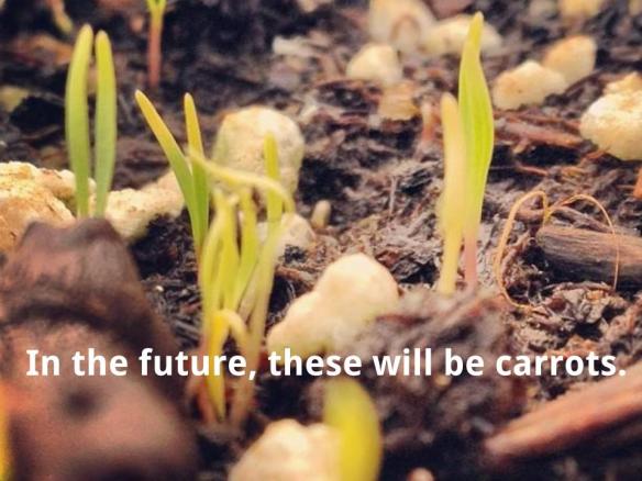 HHBA mobile talk (25)